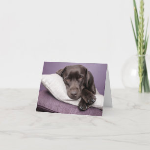 Brun Labrador-återgivningskort för uppvalsbar Hund Kort