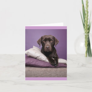 Brun Labrador-återgivningskort för uppvalsbar Hund Kort