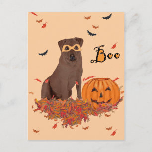 Brun Labrador Retriever Halloween Vykort