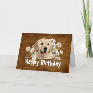 Brun läder från dagstidningen Golden Retriever Kort