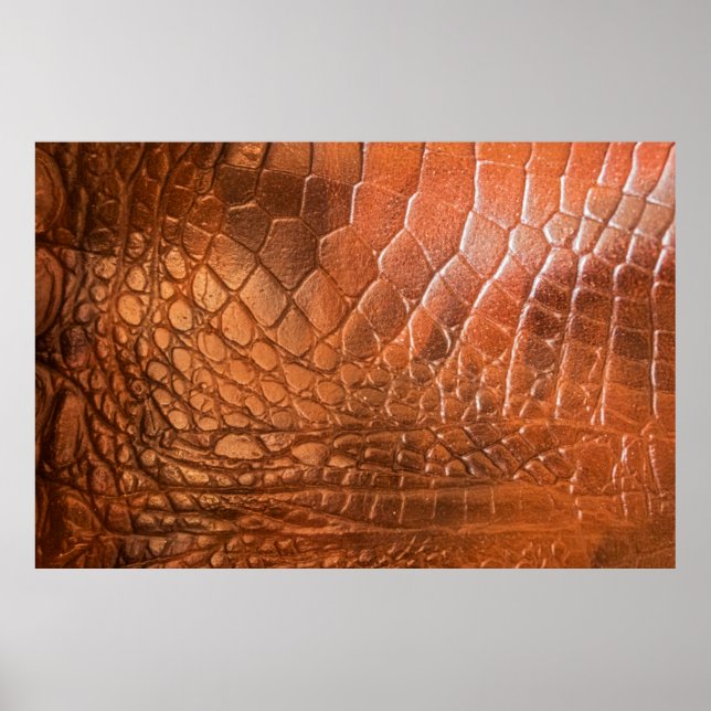 Brun läder med mönster i form av en skiva poster (Framsidan)