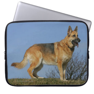 Brun lång Haired tysk herde 2 Laptop Sleeve