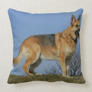 Brun långhårig tysk schäferhund 2 kudde