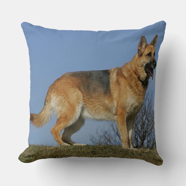 Brun långhårig tysk schäferhund 2 kudde (Framsida)