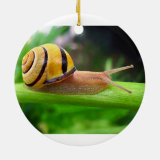 Brun Lipped snigel för snigelCepaea Nemoralis Julgransprydnad Keramik