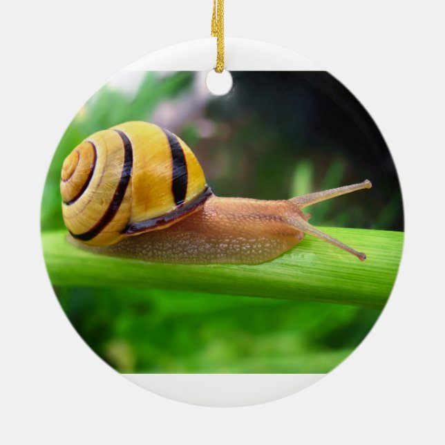 Brun Lipped snigel för snigelCepaea Nemoralis Julgransprydnad Keramik (Baksidan)