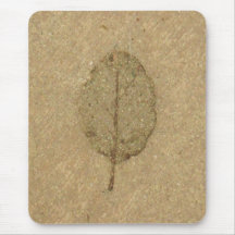 Brun Löv fossil