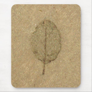 Brun Löv fossil Musmatta