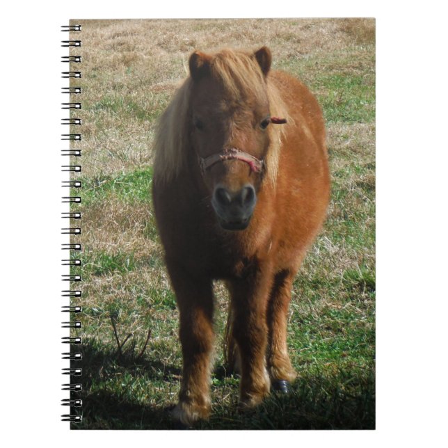 Brun miniatyrhäst anteckningsbok med spiral (Framsidan)