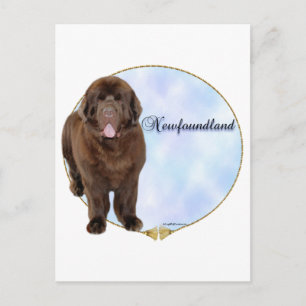 Brun Newfoundland Porträtt Vykort