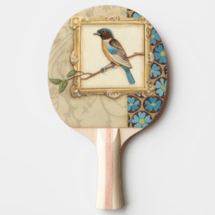 Brun och Blå Bird på en Gren Tittar upp Pingisracket