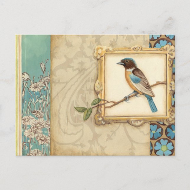 Brun och Blå Bird på en Gren Tittar upp Vykort (Framsida)