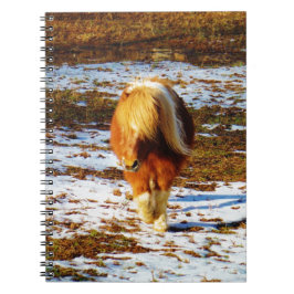 Brun och gräddminiatyrhäst i snö. anteckningsbok