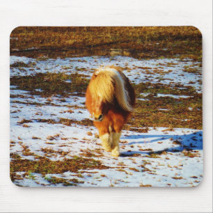 Brun och gräddminiatyrhäst i snö. musmatta