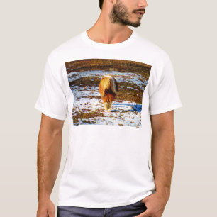 Brun och gräddminiatyrhäst i snö. t-shirt