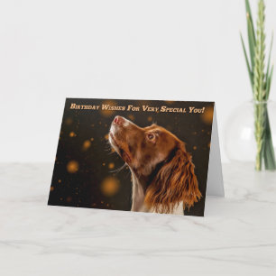 Brun och kräm- SpringerSpaniel, födelsedagönskemål Kort