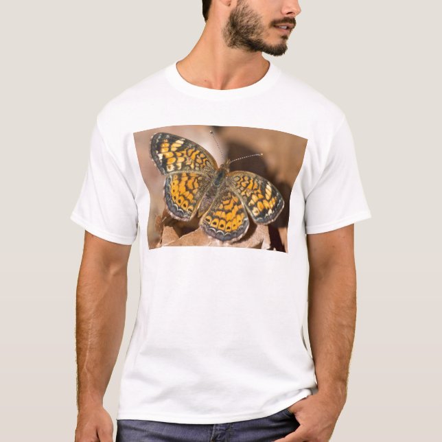 Brun och Orange Moth Apparatur och gåvor Tee (Framsida)