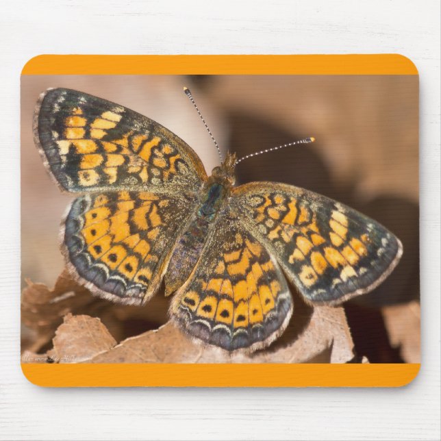 Brun och Orange Moth Kläder och presenter Musmatta (Framsidan)