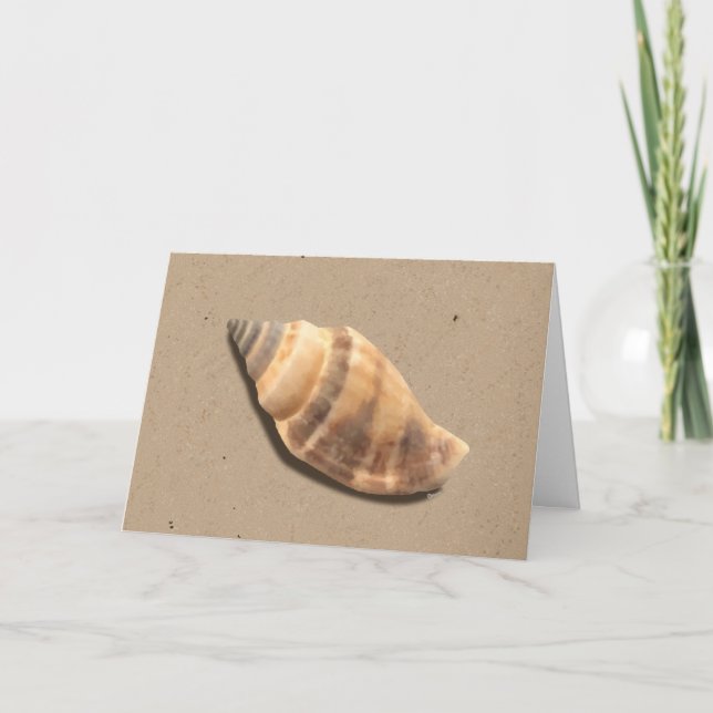 Brun- och Tan-gratulationskort för Snäcka av strip Kort (Framsida)