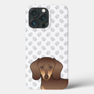 Brun Och Tan Korthårig Dachshund Hund Huvud & Tass
