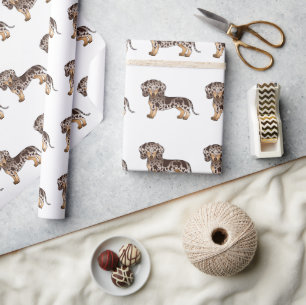 Brun och Tanfärgad Fläckig Korthårig Dachshund Mön Presentpapper