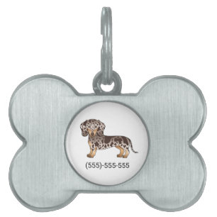 Brun och Tanfärgad Fläckig Korthårig Dachshund & N ID-bricka Husdjur