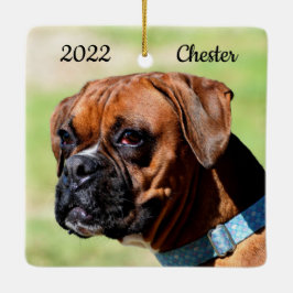 Brun och vit Boxer Puppy Hund Julgransprydnad Keramik