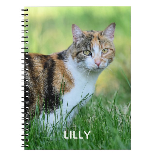 Brun och vit katt anteckningsbok (Framsidan)