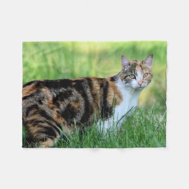 Brun och vit katt fleecefilt (Framsidan (Horisontell))