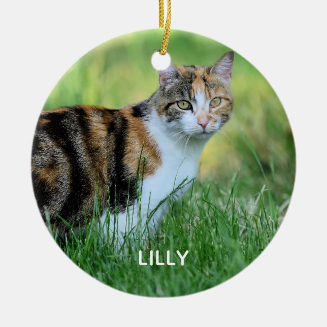 Brun och vit katt julgransprydnad keramik (Framsidan)