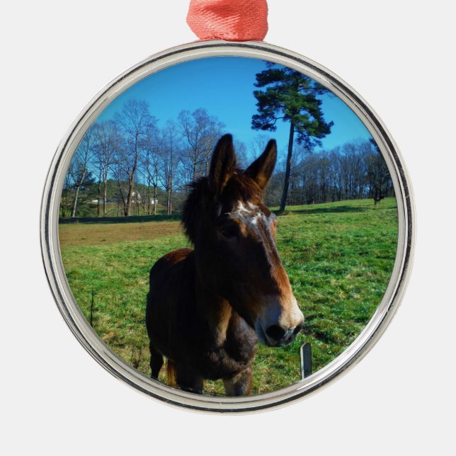 Brun och vit mul julgransprydnad metall (Framsidan)