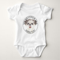Brun och vit Shih Tzu bror