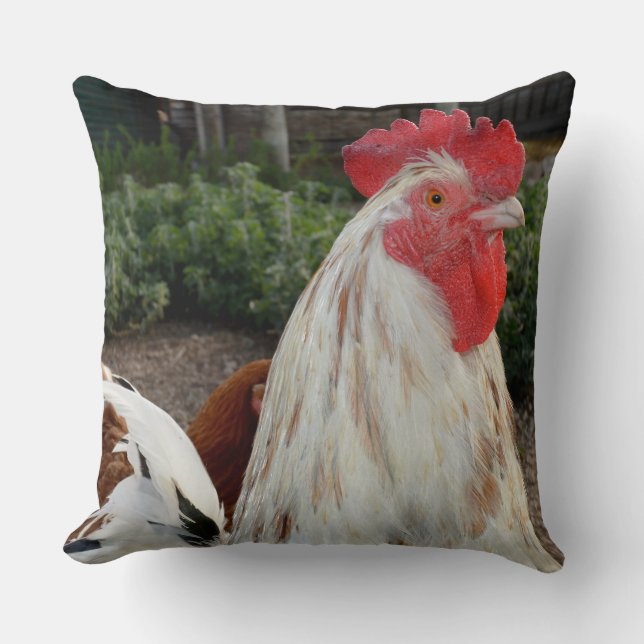 Brun och vit stolt Tupp, Big Throw Cushion. Kudde (Framsida)
