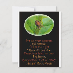 Brun Orange Araneus Halloween-fest Invitation Inbjudningar