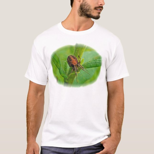 Brun Orange Araneus T-Shirt (Framsida)