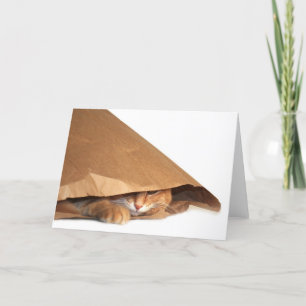 Brun papper kattkort kort