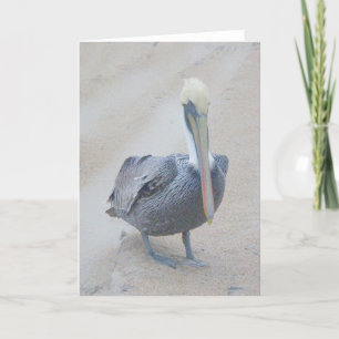 Brun pelican #1-anteckningskort kort