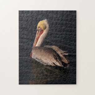 Brun pelican Bird Wildlife Animals Ocean Puzzle Pussel