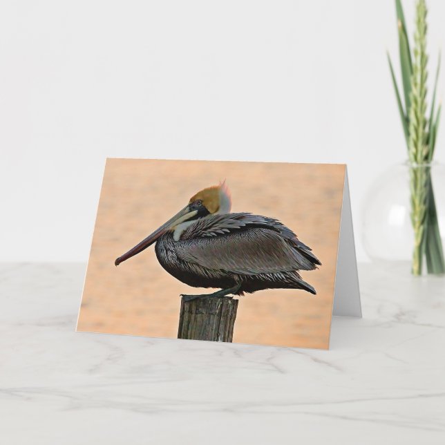 Brun pelican Resten på Piling-Kanvastryck Kort (Framsida)