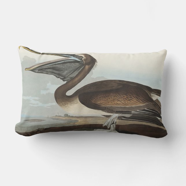 Brun pelikan från Birds of America Lumbarkudde (Framsida)
