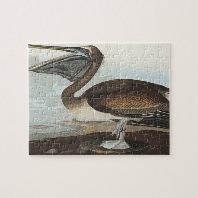 Brun pelikan från Birds of America Pussel (Horisontell)