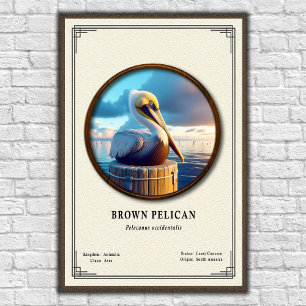 Brun Pelikan Zoologi Serie Poster