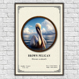 Brun Pelikan Zoologi Serie Poster