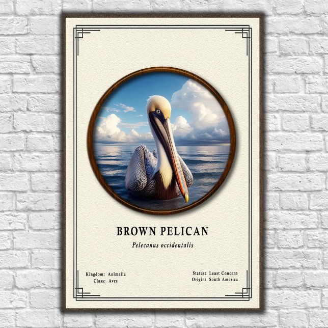 Brun Pelikan Zoologi Serie Poster (Skapare uppladdad)