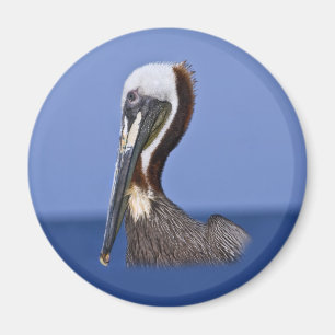 Brun pelikanporträttmagnet magnet