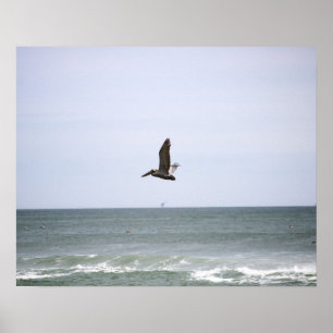 Brun persikan som flyger över Oceanen Färg 16 x Poster