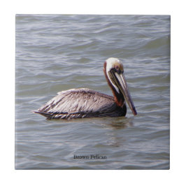 Brun persikor kakelplatta