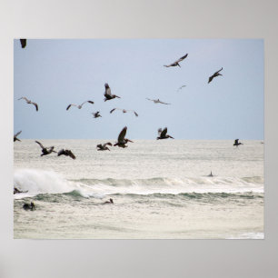 Brun persikor över Oceanen Färg 16 x 20 Poster
