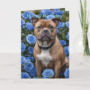 Brun personal i Blue Ro Garden, Bday Card Kort