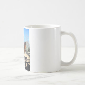Brun ponny turkos himmel kaffemugg